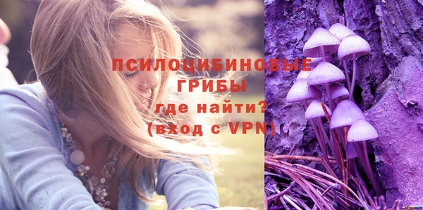 винт Майский