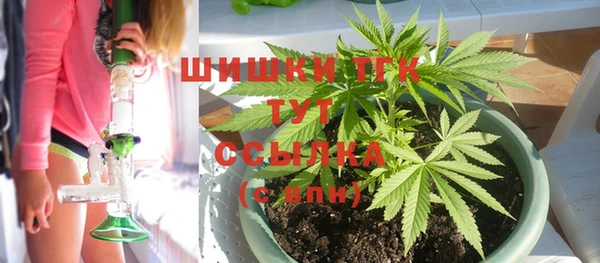 винт Майский