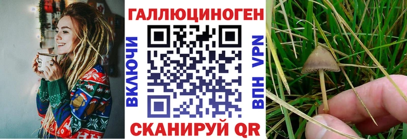 Галлюциногенные грибы ЛСД  где найти наркотики  Черепаново 